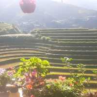 Rất Tuyệt 