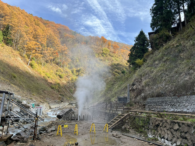 地獄谷野猿公苑 長野縣景點 日本旅遊