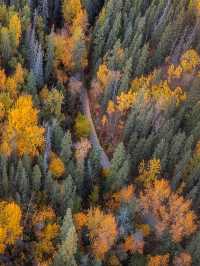City Guide to Edmonton, Alberta 🫶🏽