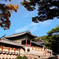韓國大邱_Bulguksa 불국사 佛國寺_韓國國寶502號