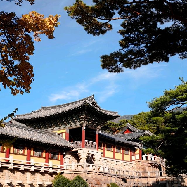 韓國大邱_Bulguksa 불국사 佛國寺_韓國國寶502號