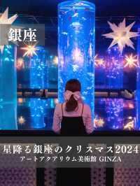 【銀座】アートアクアリウム美術館で金魚×クリスマス