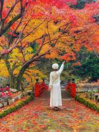山口県古刹😊紅葉名所🍁大寧寺🍁たいねいじ