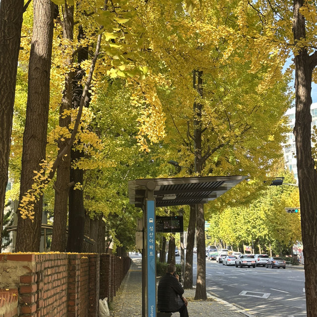 Seoul autumn