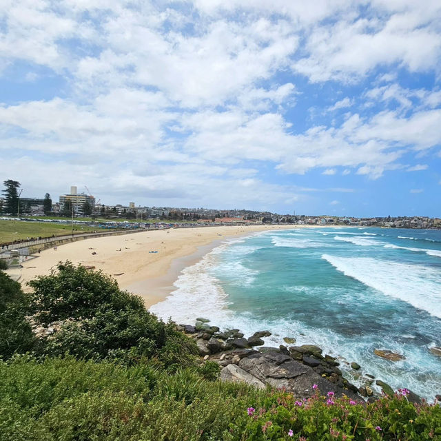 Bondi 🏝️ Sydney