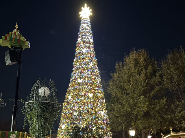 上海ディズニーランド🏰クリスマスイルミネーション🎄