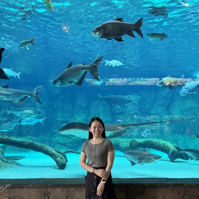 驚人的水下冒險 - 河流奇觀 