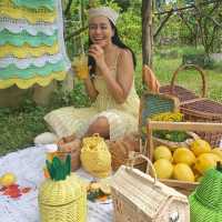 เลมอน🍋ฟาร์มสุข เติมความสดชื่นที่สวนผึ้ง 