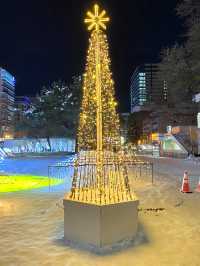 冬の札幌人気のウィッシュ・バーズ2024