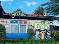 ร้านอาหาร Vibe ดีในเชียงใหม่ OKJ สันทราย✨