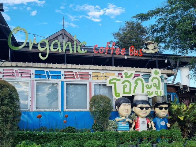 ร้านอาหาร Vibe ดีในเชียงใหม่ OKJ สันทราย✨