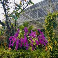 Discover Sawadee Garden, Chiang Mai