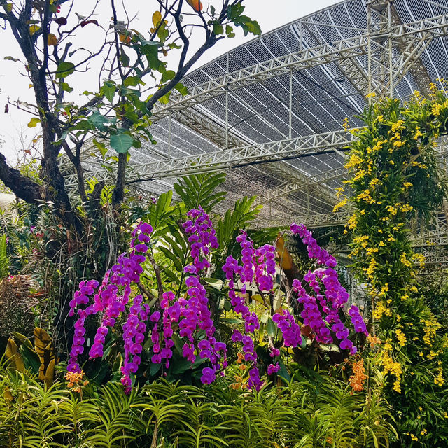 Discover Sawadee Garden, Chiang Mai