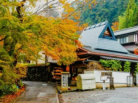 京都🇯🇵寂光院
