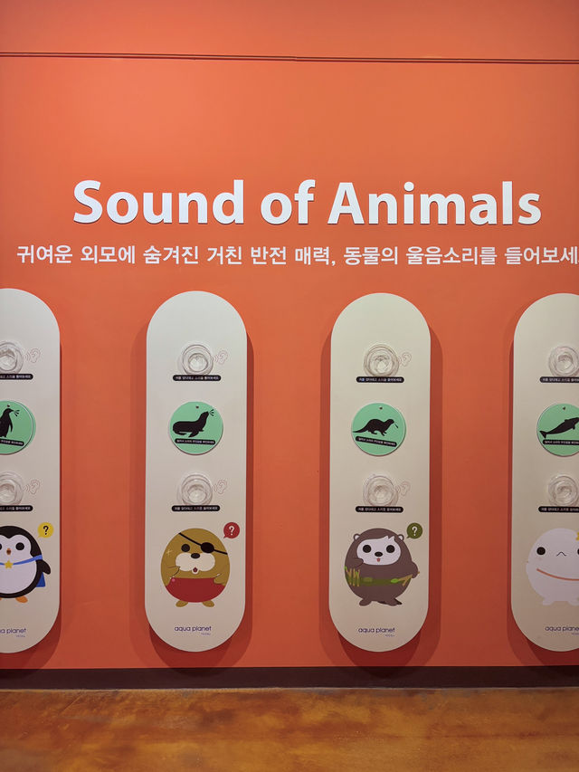 신비한 해양생물들을 만날 수 있는 아쿠아플라넷☺️