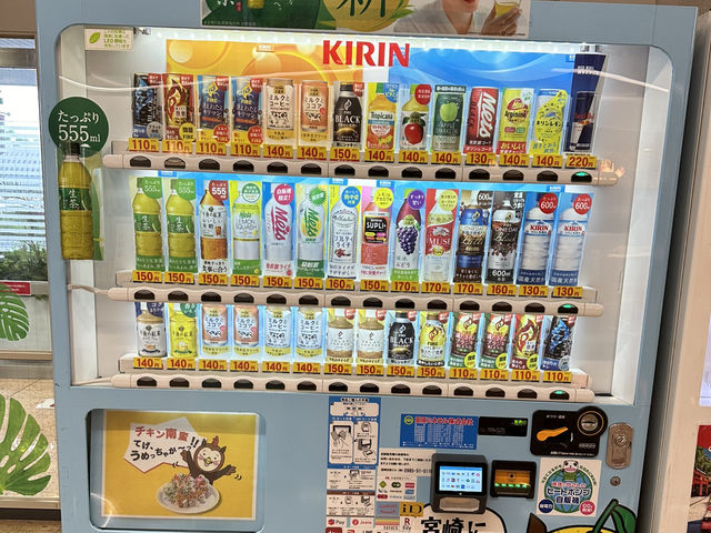 宮崎機場的椰蛋樹🌲與浪漫展望台🥰