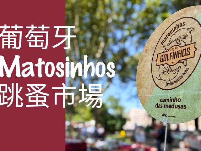 葡萄牙波圖Matosinhos的海豚市場Feira dos Golfinhos