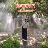 แดนเทวดา คาเฟ่ในม่านหมอก