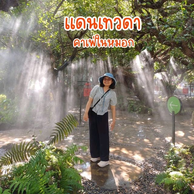 แดนเทวดา คาเฟ่ในม่านหมอก