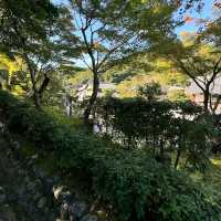Adashino Nenbutsuji Temple