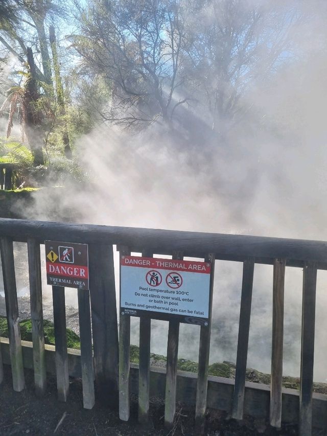 고요한 마을에서 마주한 로토루아 호수(Rotorua Lake)🇳🇿