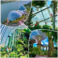 Gardens by the Bay，被譽為新加坡最優美的城市園林傑作