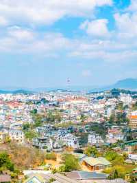 베트남의 작은 파리 달랏의 다채로운 매력🏡🤍