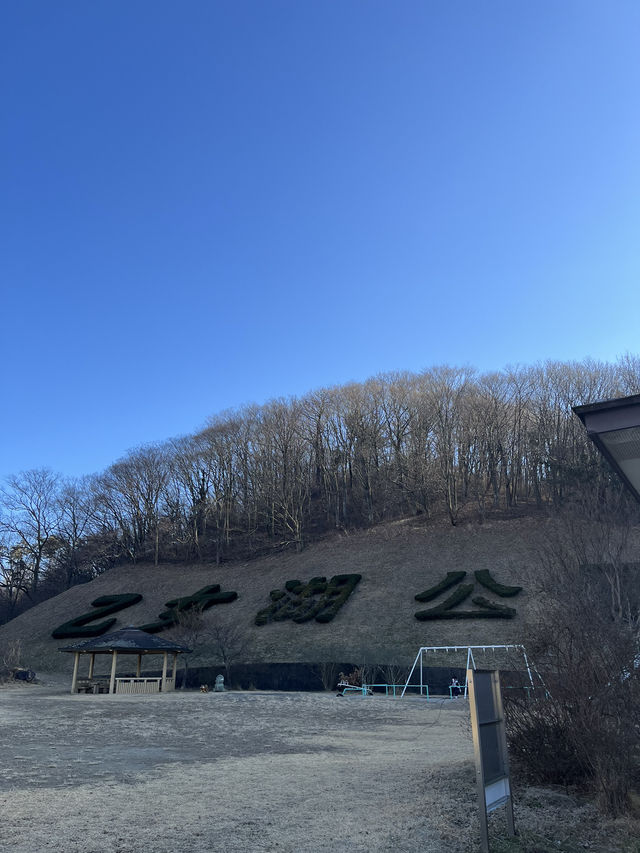 【小諸市🇯🇵】静かにゆったり過ごせるのんびり公園⛲️