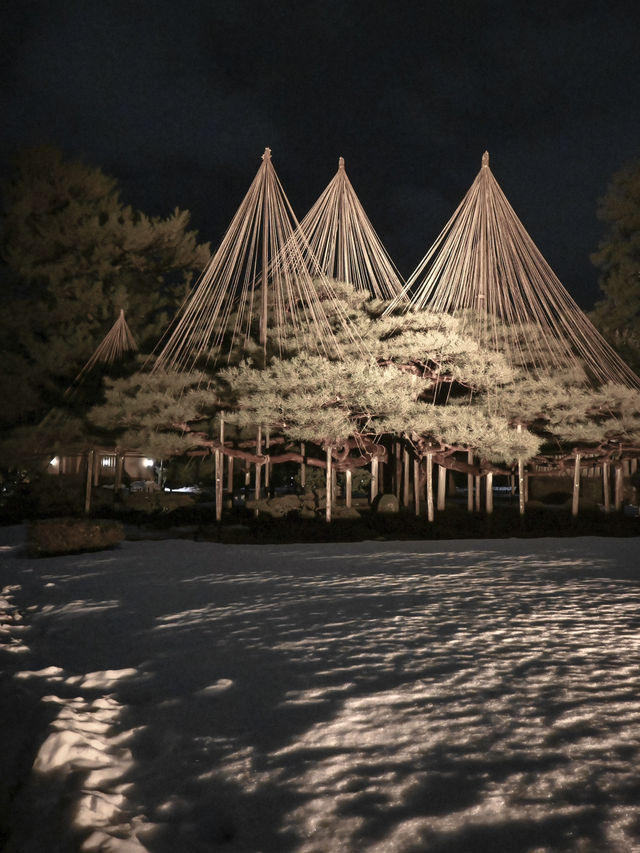 【石川】兼六園の夜間ライトアップ✨美しい雪吊り