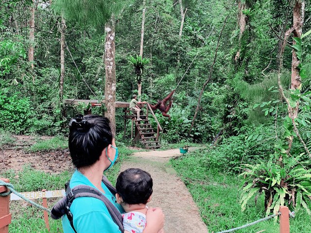 With RM20 a family of 3 can go see Orang Utan