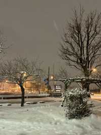 Sapporo: A City of Snow, Culture, and Amazing Food