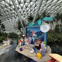 「新加坡」迪士尼聯乘星空花園，自然和花藝的探索