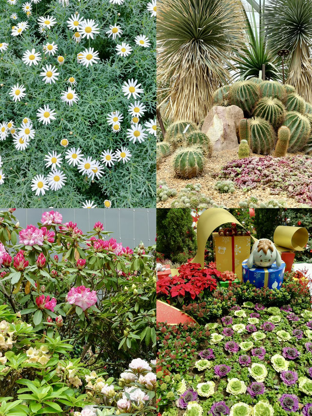 The Nature Enthusiast’s Perspective: A Green Paradise at Garden by the Bay