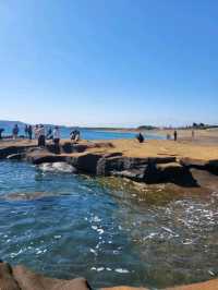 🌊 사계해안에서 만나는 제주 바다의 절경! 🌊