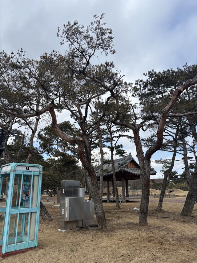 고종황제 초상화를 볼 수 있는 전주박물관😇