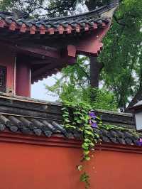 📍Chengdu Day Trip to a Monastery