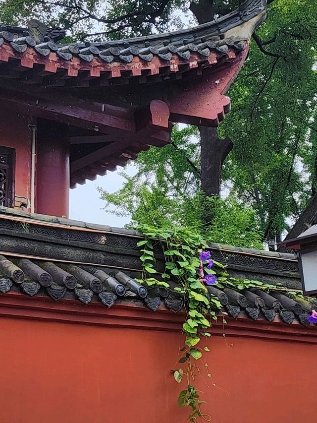 📍Chengdu Day Trip to a Monastery