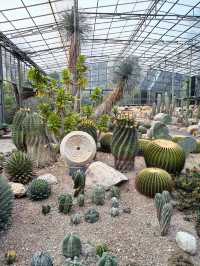 Botanist activity space and more