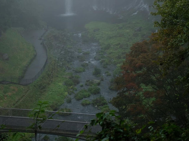แชร์วิธีเดินทางไปน้ำตกชิราอิโตะและทะเลสาบทานูกิ