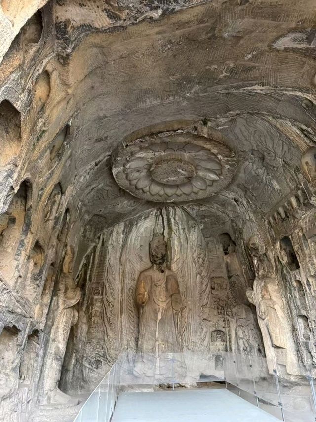 📍Discover luoyang 