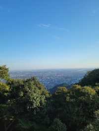 Gifu park