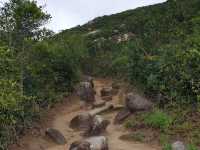 Conquer the Ridge: Hiking Hong Kong’s Stunning Dragon’s Back
