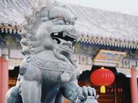 上海庭園：古典美景與現代打卡的完美融合，捕捉每一瞬間的靜謐與魅力！📸🌸🏯