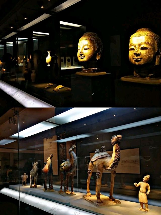 📍Daming Palace 📍Daming Palace