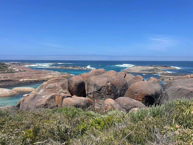 Denmark Australia 🇦🇺 