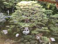 Hiyoshi Taisha: The Grand Shrine of Protection and History