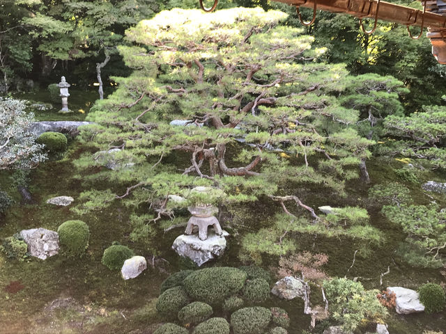 Hiyoshi Taisha: The Grand Shrine of Protection and History