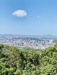 樟山寺漫遊-品茶、賞景與山林靜心之旅