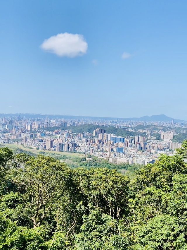樟山寺漫遊-品茶、賞景與山林靜心之旅