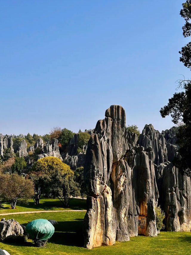 The Stone Forest Scenic Area